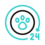 24-horas